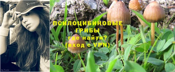 амф Сафоново